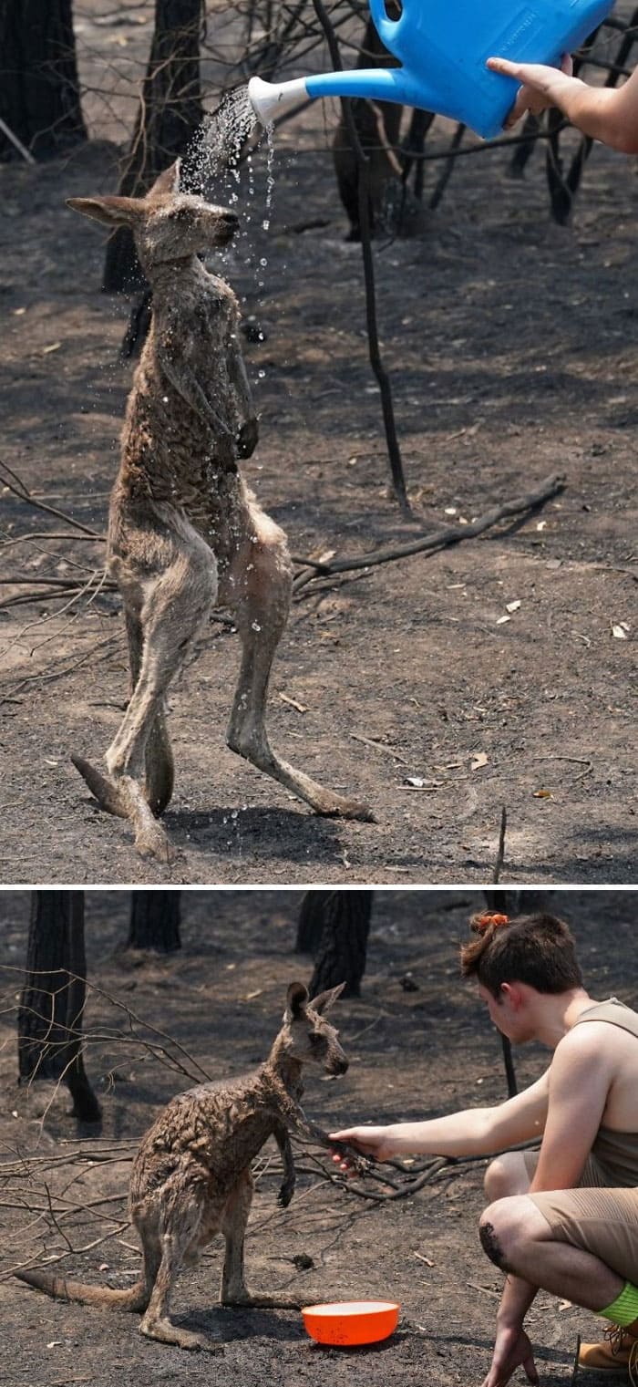 58 фото, які показують, як виглядає Австралія зараз