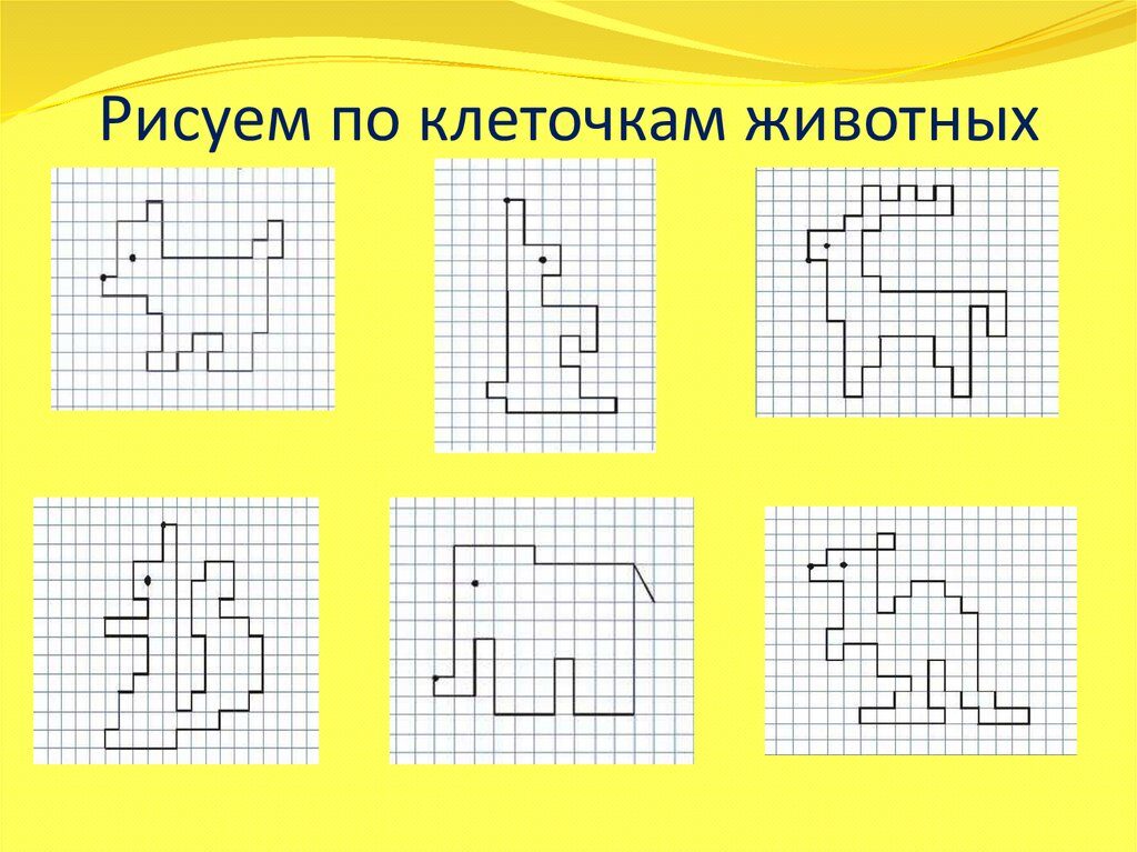 Графічний диктант - Тварини за клітинами.