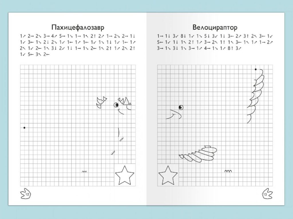 Графічний диктант - Тварини за клітинами.