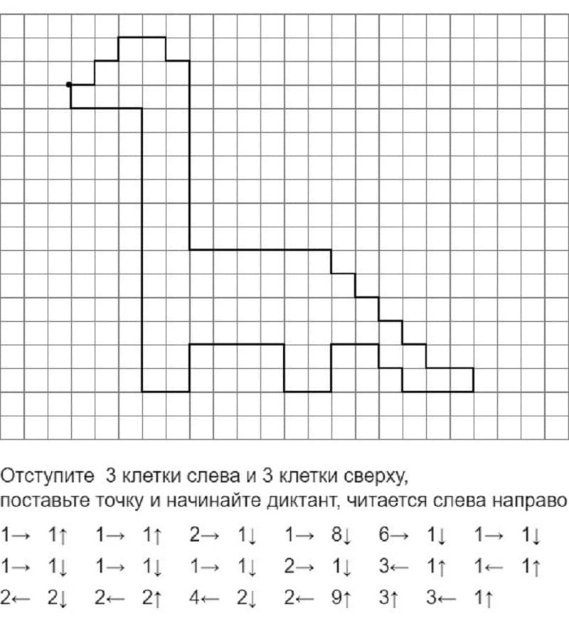 Графічний диктант - Тварини за клітинами.