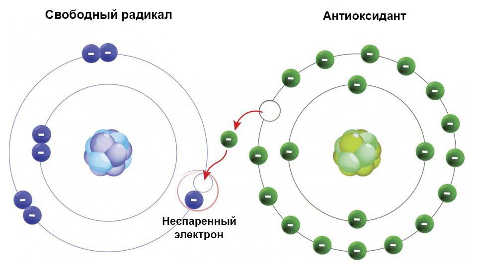 Вільні радикали - Як зменшити вплив вільних радикалів на шкіру?