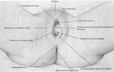 Як довести дівчину до оргазму!
