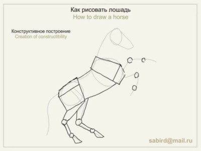 Як намалювати коня - малюємо коня олівцем поетапно