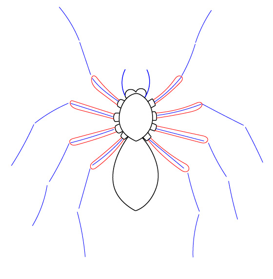 Як намалювати павука - малюємо павука поетапно, а також людину павука